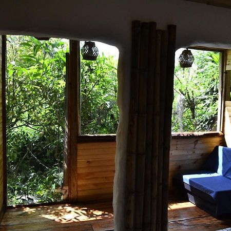 Habitación Las Bromelias, Pijao, Finca Flora del Rio Exterior foto